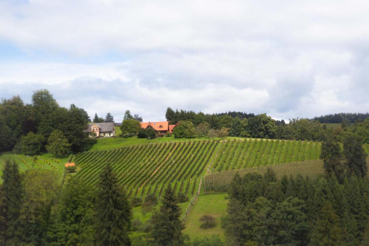 Ferienhaus Schilcherland Grubberg Exterior photo